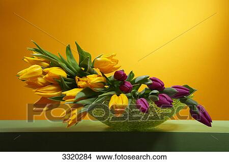 Tulips in flower vase View Large Photo Image Picture - Tulips in flower vase . Fotosearch