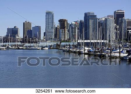 Vancouver Coal Harbour View Large Photo Image Stock Image - Vancouver Coal Harbour . Fotosearch
