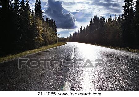 Wet road running through forest View Large Photo Image Stock Photography - Wet road running through forest . Fotosearch