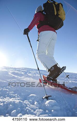 Woman snow hiking, Tannheimer Tal, Tyrol, Austria View Large Photo Image Stock Image - Woman snow hiking, Tannheimer Tal, Tyrol, Austria . Fotosearch