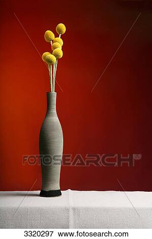 Stock Photo - Yellow flowers in a flower vase against red background . Fotosearch