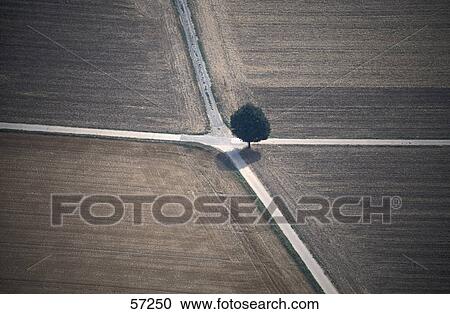 Aerial view of a lone tree on a crossroad View Large Photo Image Stock Image - Aerial view of a lone tree on a crossroad . Fotosearch