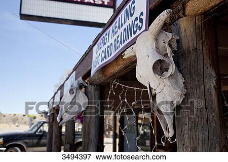 Animal heads on a building, New Mexico, USA, close-up View Large Photo Image Stock Photo - Animal heads on a building, New Mexico, USA, close-up . Fotosearch