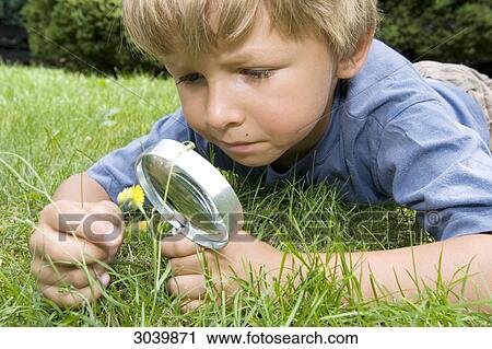 Boy examining a flower with a magnifying glass View Large Photo Image Stock Image - Boy examining a flower with a magnifying glass . Fotosearch