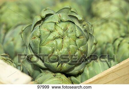 Stock Photo - Close-up of an artichoke . Fotosearch