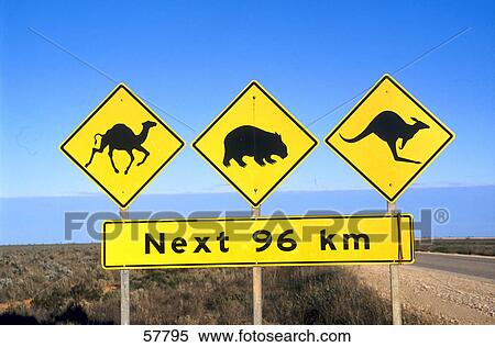 Stock Photography - Close-up of animal crossing signs at roadside, Australia . Fotosearch