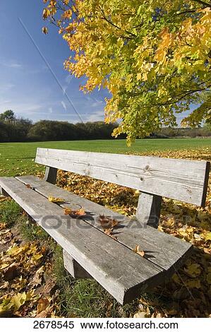 Close-up of bench in park View Large Photo Image Stock Photography - Close-up of bench in park . Fotosearch