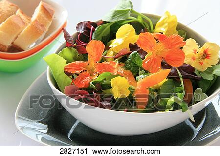 Stock Image - Close-up of bowl of vegetable salad on plate . Fotosearch