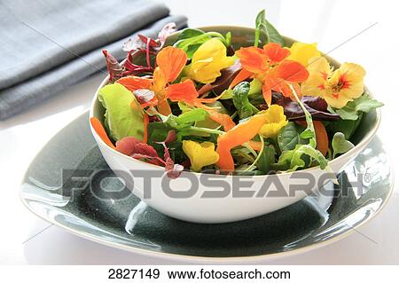 Stock Photo - Close-up of bowl of vegetable salad on plate . Fotosearch