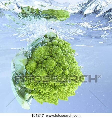 Stock Photo - Close-up of broccoli in water . Fotosearch