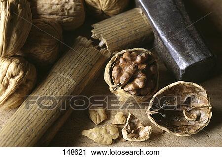 Stock Image - Close-up of broken hammer and walnuts . Fotosearch