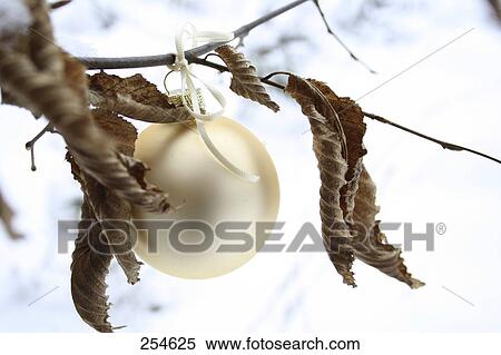 Stock Photography - Close-up of Christmas ornament . Fotosearch