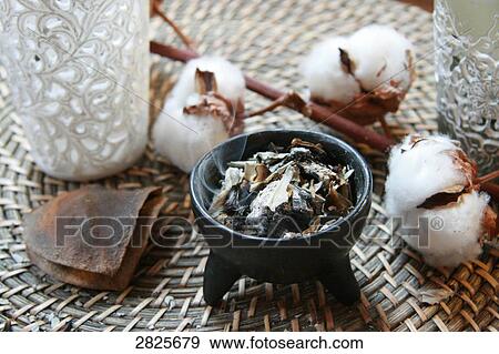Stock Photo - Close-up of cotton plants and burning leaves in bowl on table . Fotosearch