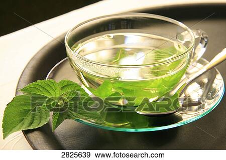 Close-up of cup of herbal tea with mint leaves on saucer View Large Photo Image Stock Photo - Close-up of cup of herbal tea with mint leaves on saucer . Fotosearch
