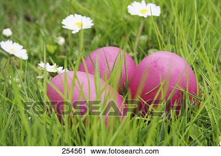 Stock Image - Close-up of Easter eggs on grass . Fotosearch