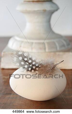 Picture - Close-up of feather on egg . Fotosearch