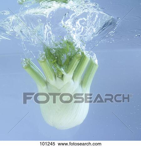 Close-up of fennel splashing in water View Large Photo Image Stock Photography - Close-up of fennel splashing in water . Fotosearch
