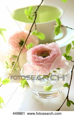 Stock Image - Close-up of flower in cup . Fotosearch