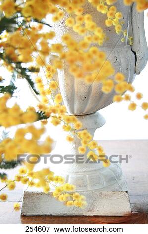 Close-up of flower pot View Large Photo Image Stock Photo - Close-up of flower pot . Fotosearch