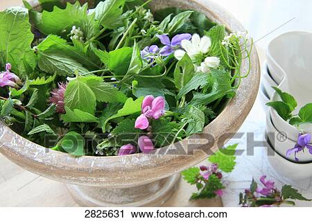 Close-up of flowers and leaves in bowl View Large Photo Image Stock Image - Close-up of flowers and leaves in bowl . Fotosearch