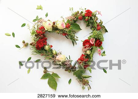 Close-up of flowers forming heart shape on white background View Large Photo Image Stock Photo - Close-up of flowers forming heart shape on white background . Fotosearch