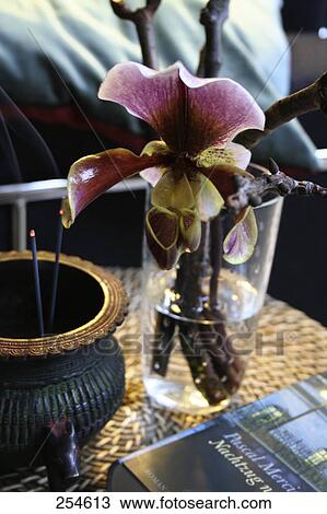 Stock Image - Close-up of flowers in vase . Fotosearch