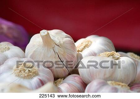 Stock Image - Close-up of garlic . Fotosearch