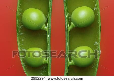 Picture - Close-up of green peas in pod . Fotosearch
