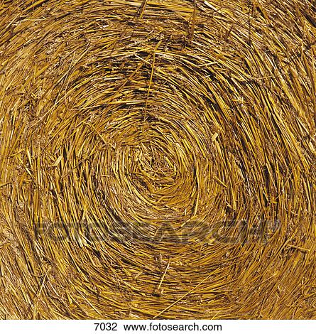 Close-up of hay bales View Large Photo Image Stock Image - Close-up of hay bales . Fotosearch