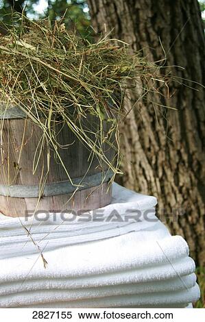 Stock Photography - Close-up of hay in bucket on towel . Fotosearch