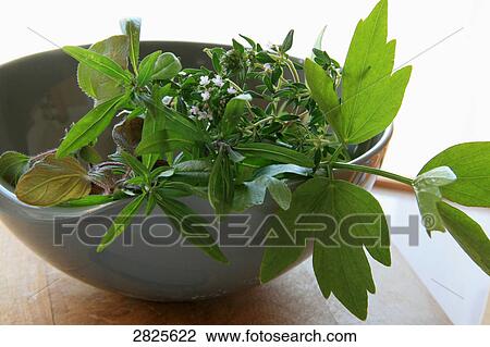 Close-up of herbs in bowl View Large Photo Image Stock Image - Close-up of herbs in bowl . Fotosearch