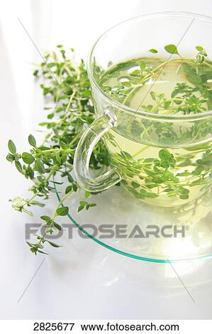 Close-up of herbs in herbal teacup on saucer View Large Photo Image Stock Photo - Close-up of herbs in herbal teacup on saucer . Fotosearch