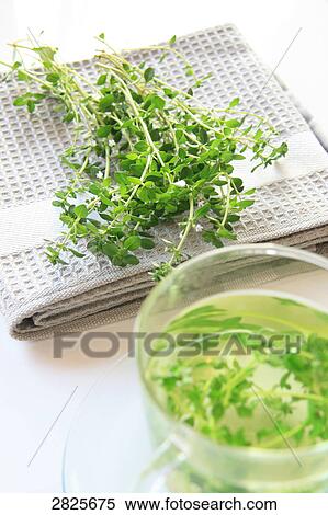 Stock Photography - Close-up of herbs in herbal teacup on saucer . Fotosearch