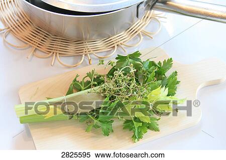 Close-up of herbs on cutting board View Large Photo Image Stock Photography - Close-up of herbs on cutting board . Fotosearch