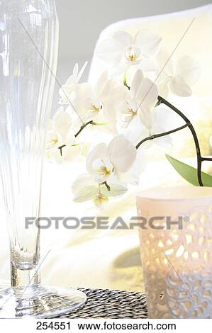Close-up of lamp and empty Champagne flute View Large Photo Image Stock Image - Close-up of lamp and empty Champagne flute . Fotosearch