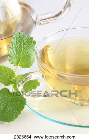 Picture - Close-up of mint leaves with herbal teacup on saucer . Fotosearch