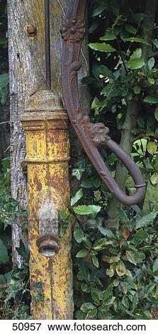 Close-up of old rusted water pump in garden, France, Europe View Large Photo Image Stock Photo - Close-up of old rusted water pump in garden, France, Europe . Fotosearch