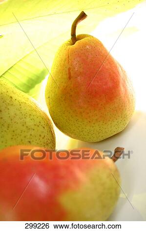 Close-up of pear View Large Photo Image Stock Photograph - Close-up of pear . Fotosearch