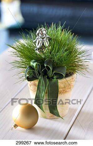 Close-up of potted plant and Christmas ornament View Large Photo Image Stock Photo - Close-up of potted plant and Christmas ornament . Fotosearch