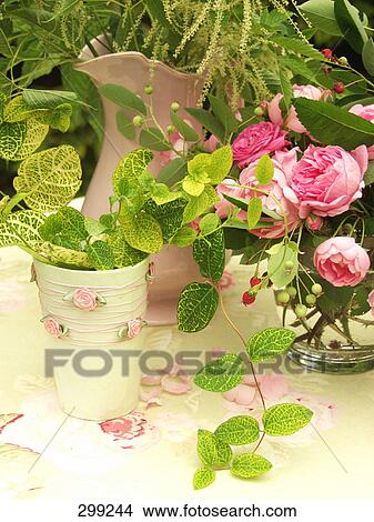 Close-up of potted plant and flowers in vases View Large Photo Image Picture - Close-up of potted plant and flowers in vases . Fotosearch
