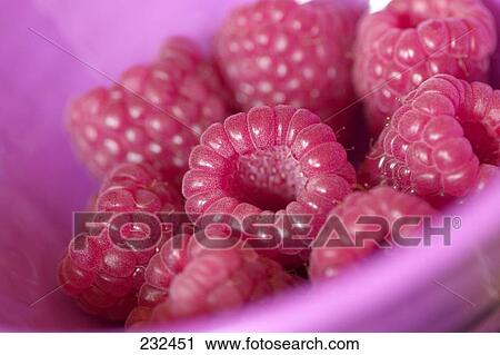Stock Image - Close-up of raspberries in bowl . Fotosearch