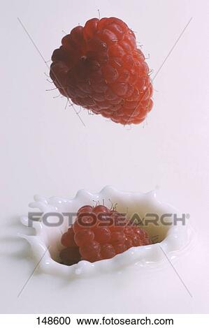 Stock Image - Close-up of raspberries splashing into milk . Fotosearch