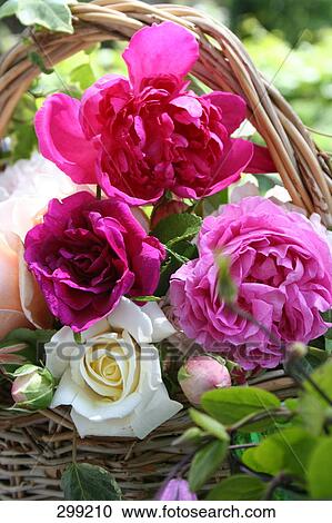 Stock Image - Close-up of roses in basket . Fotosearch