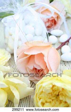 Close-up of roses View Large Photo Image Stock Image - Close-up of roses . Fotosearch