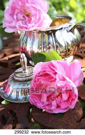 Close-up of roses View Large Photo Image Stock Image - Close-up of roses . Fotosearch
