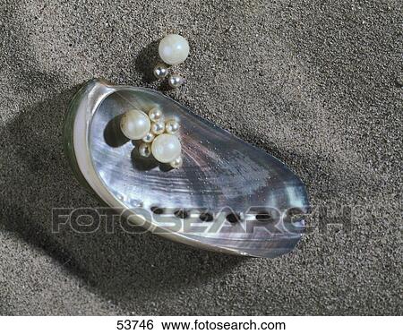 Close-up of shell and pearls on sand View Large Photo Image Stock Photograph - Close-up of shell and pearls on sand . Fotosearch