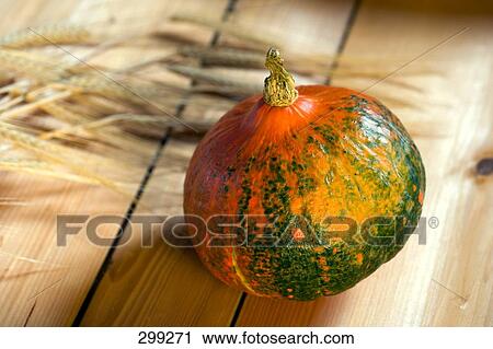 Close-up of squash View Large Photo Image Stock Image - Close-up of squash . Fotosearch
