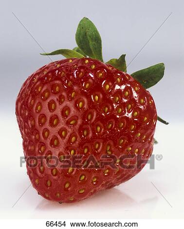 Close-up of strawberry View Large Photo Image Picture - Close-up of strawberry . Fotosearch