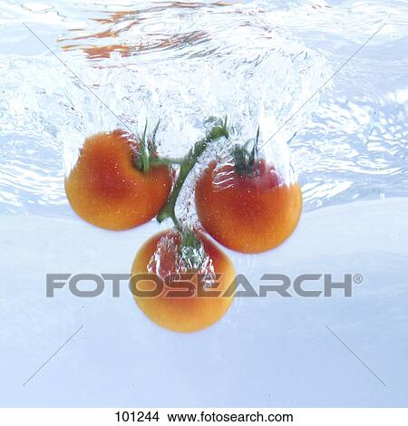 Close-up of tomatoes splashing in water View Large Photo Image Picture - Close-up of tomatoes splashing in water . Fotosearch