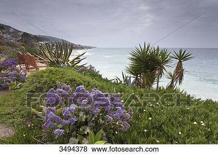 Stock Photo - Coast of California, USA, elevated view . Fotosearch